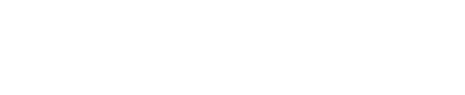 FraudSpy